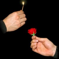 MATCH TO ROSE MATCH TO ROSE