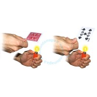 CARDICIAN'S DREAM CARDICIAN'S DREAM