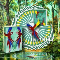 INFINITY PLAYING CARDS