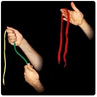 CHAMELEON SHOELACE CHAMELEON SHOELACE